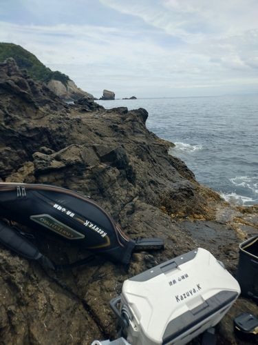 グレの釣果