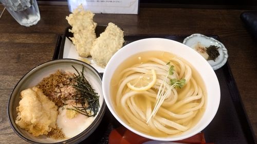 ダツの釣果