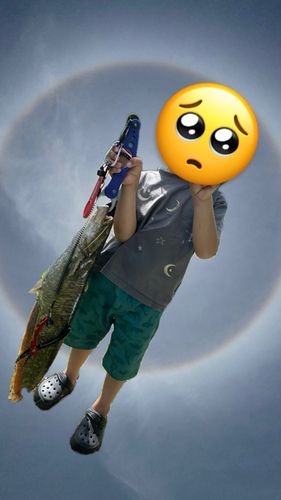 ナマズの釣果