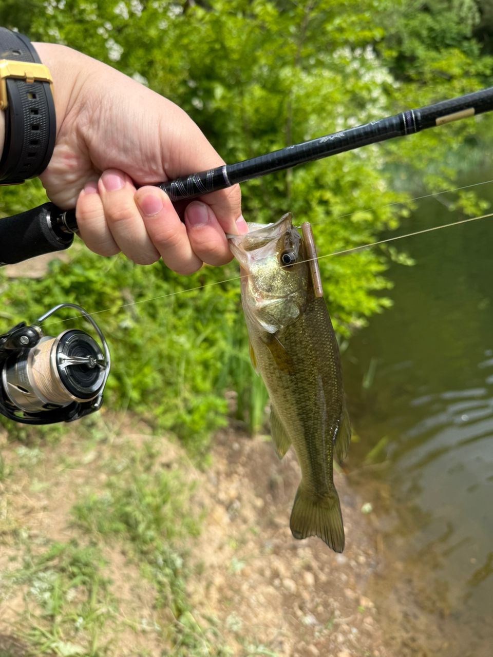 DAIWA 18ハートランド 671LFS-18の最安値・インプレ・釣果 | 本音の
