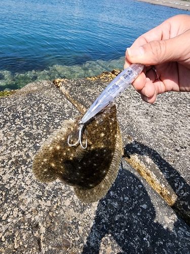 釣果