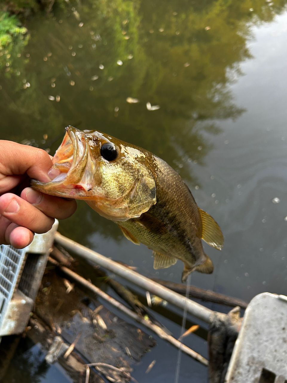 DAIWA 23ハートランド 702UL+FS-ST23の最安値・インプレ・釣果 | 本音