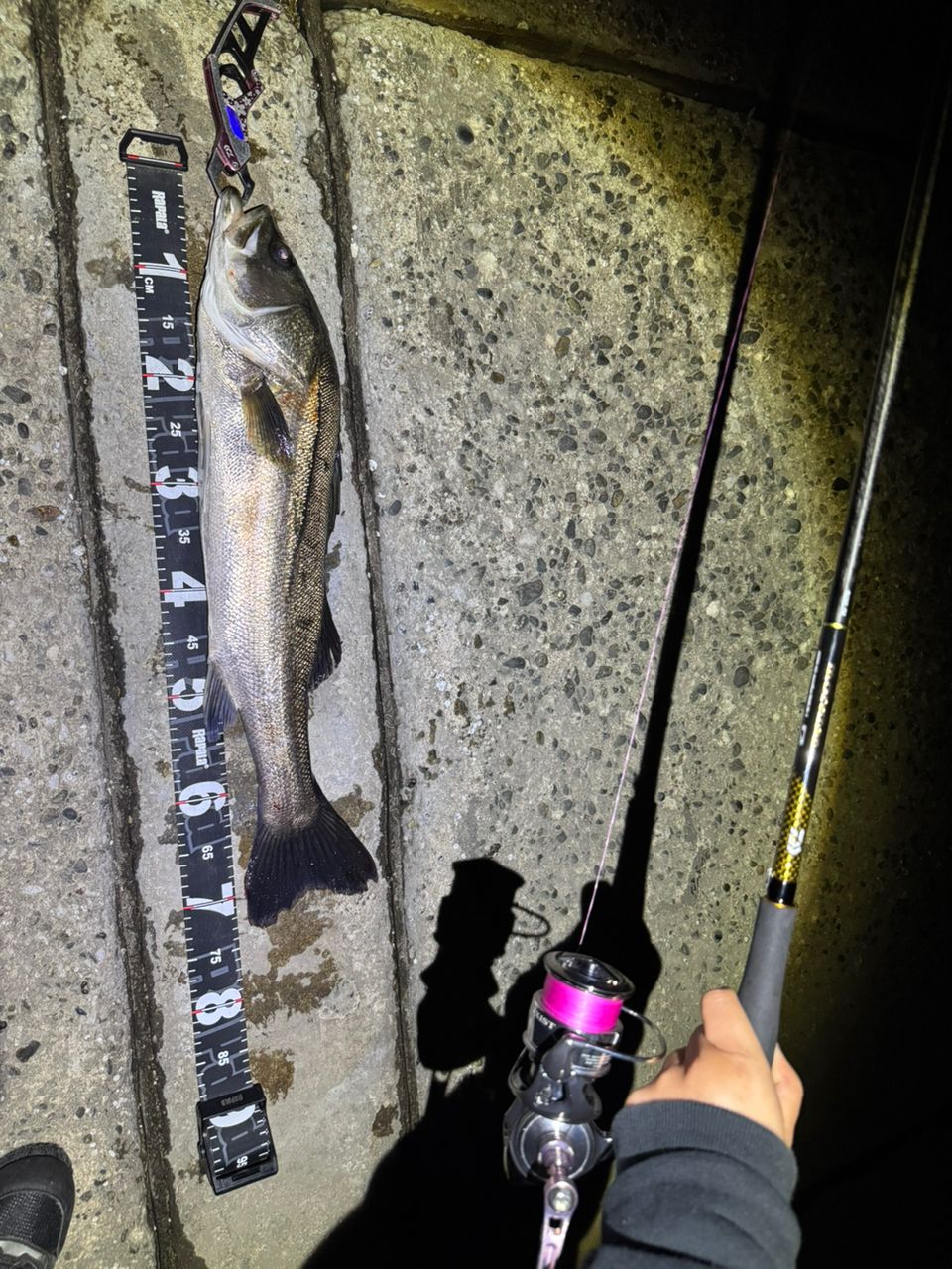 DAIWA 22イグジスト PC LT3000-XHの最安値・インプレ・釣果 | 本音の