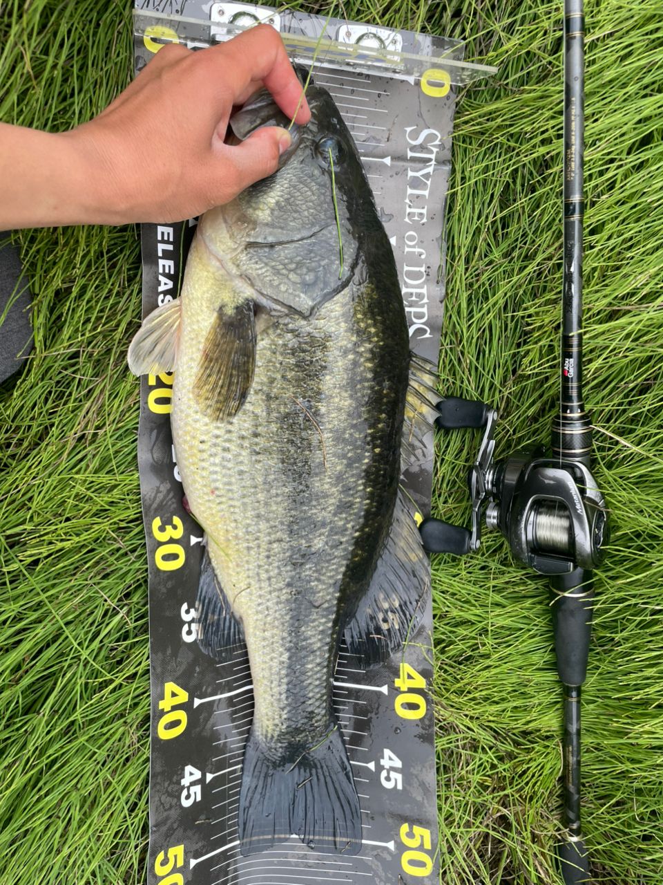 AbuGarcia クロスフィールド XRFC-702Mの最安値・インプレ・釣果