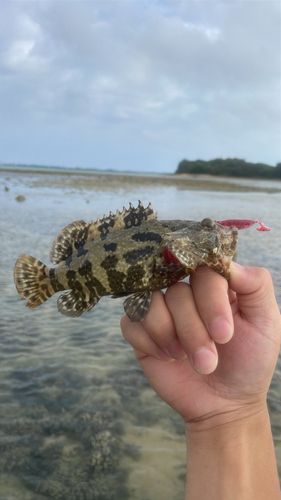 釣果