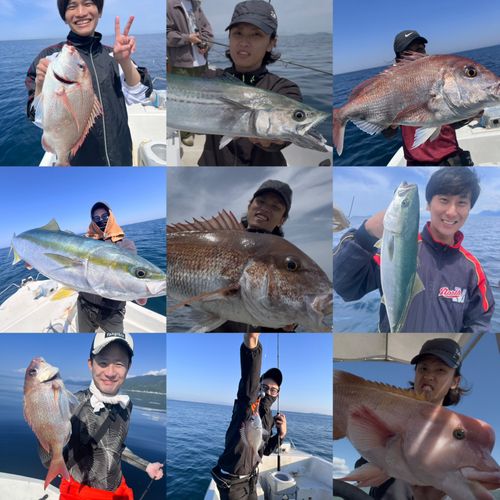 マダイの釣果