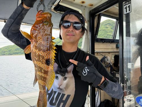 アコウの釣果
