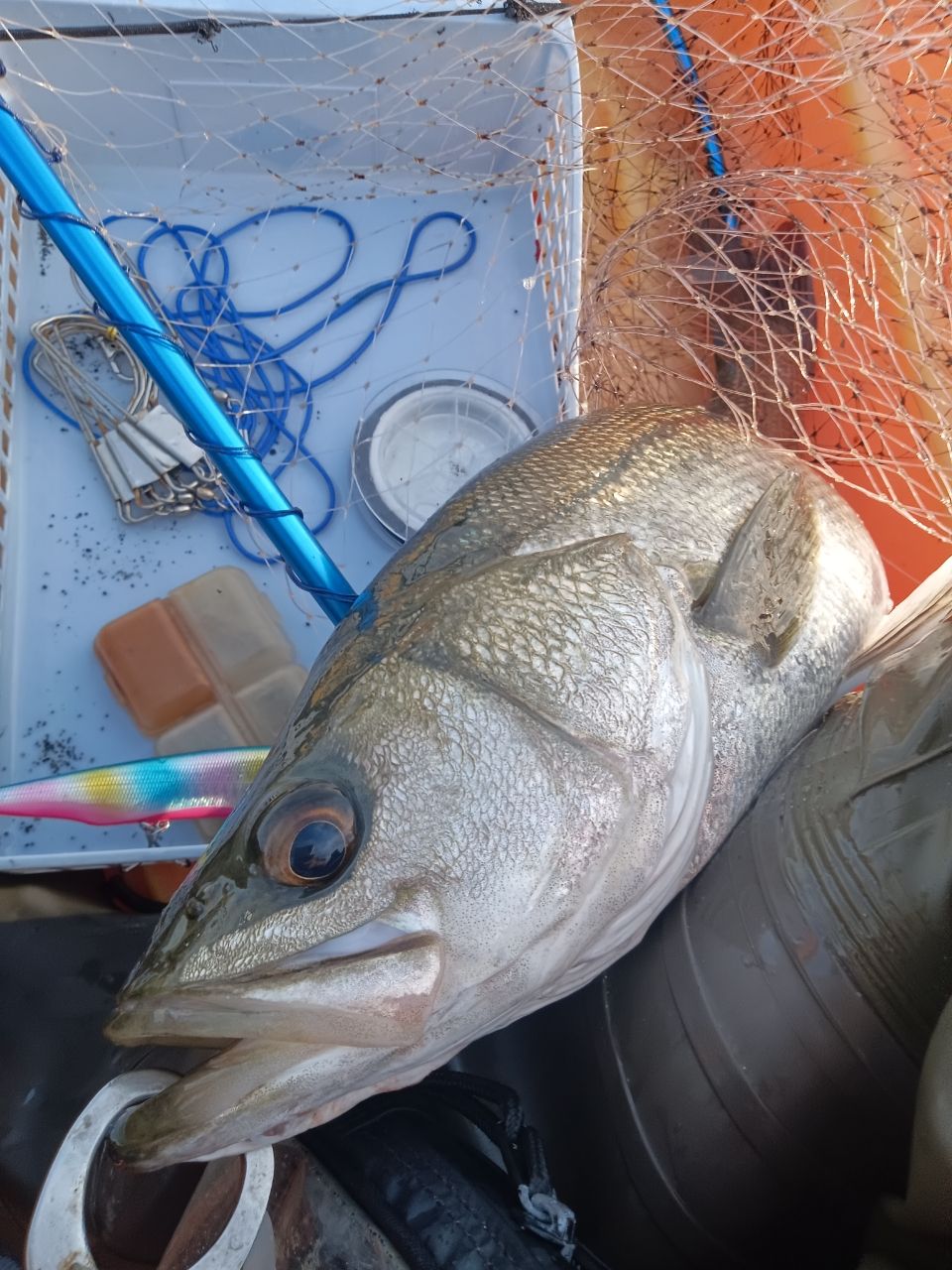 AbuGarcia ソルティーステージ KR-X ボートシーバスの最安値・インプレ