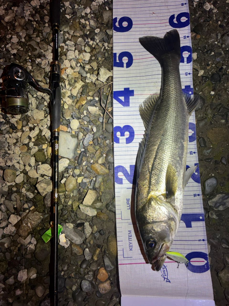 DAIWA 21モアザン ブランジーノ EX AGS 94MLの最安値・インプレ・釣果