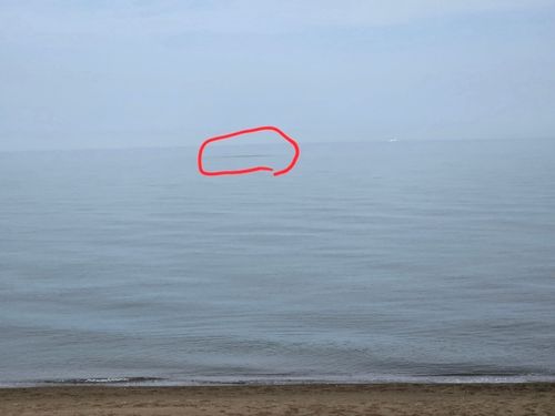 フグの釣果