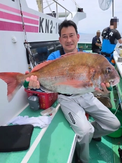 マダイの釣果