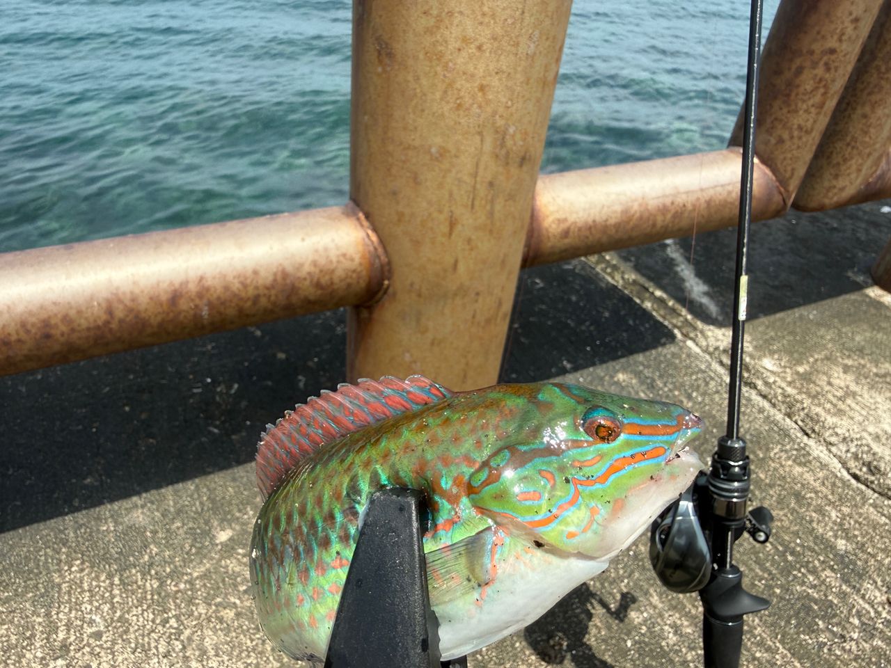 AbuGarcia ソルティーステージ プロトタイプ ベイトフィネスの最安値
