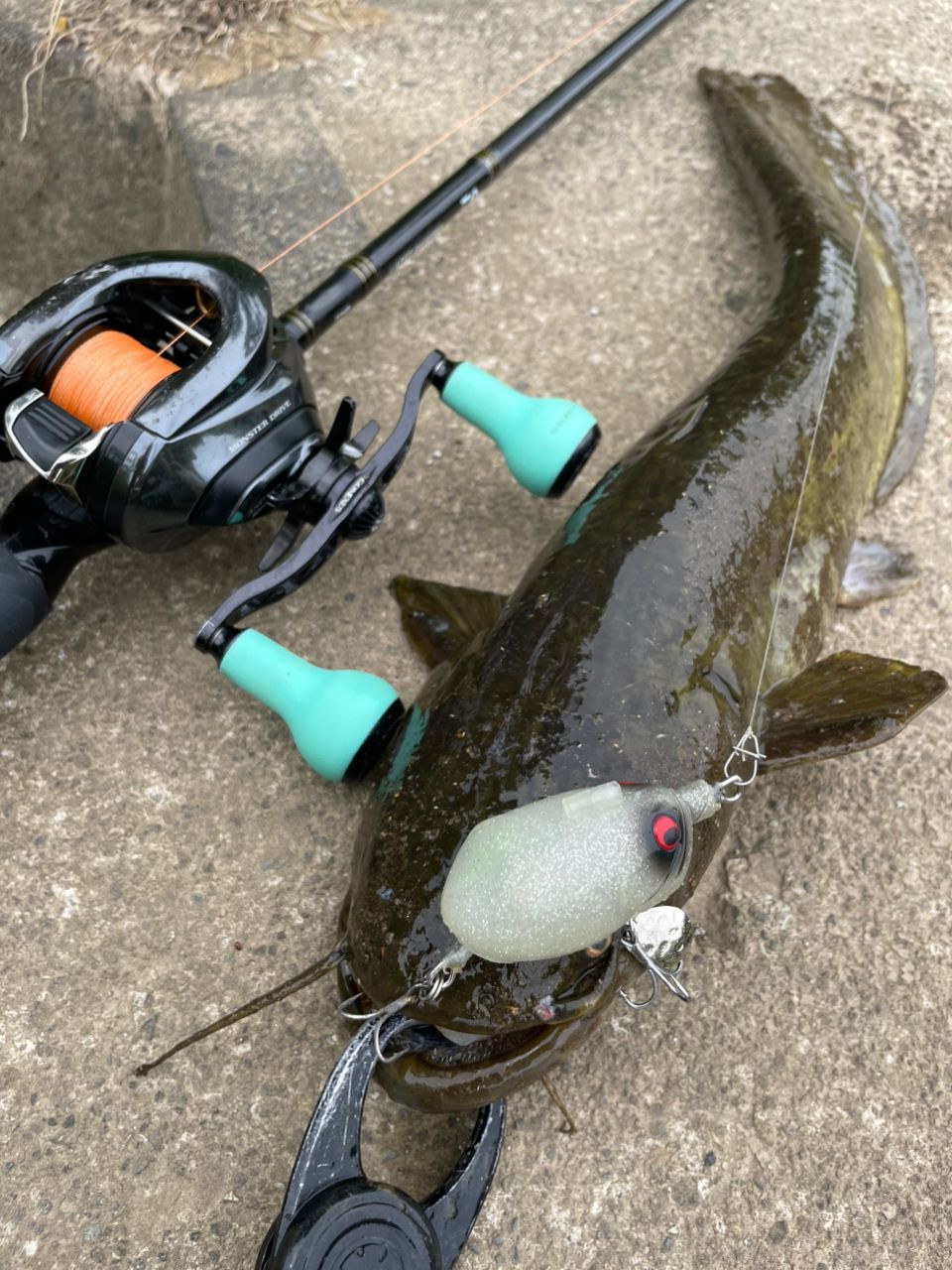 DAIWA 18ラテオ ボートシーバス 73HBの最安値・インプレ・釣果 | 本音