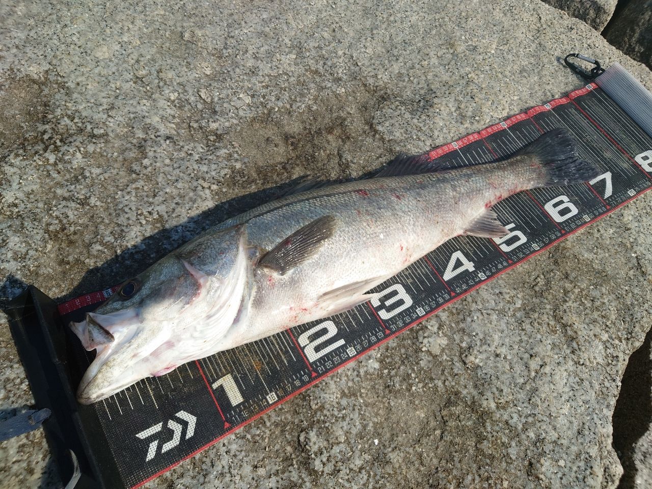 DAIWA 17モアザン ワイズメン AGS 130M-4の最安値・インプレ・釣果