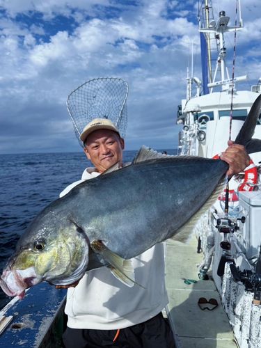 シマアジの釣果