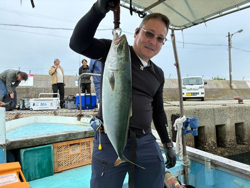 ハマチの釣果