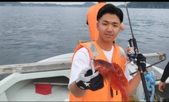 アカハタの釣果