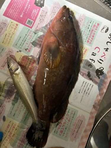 釣果