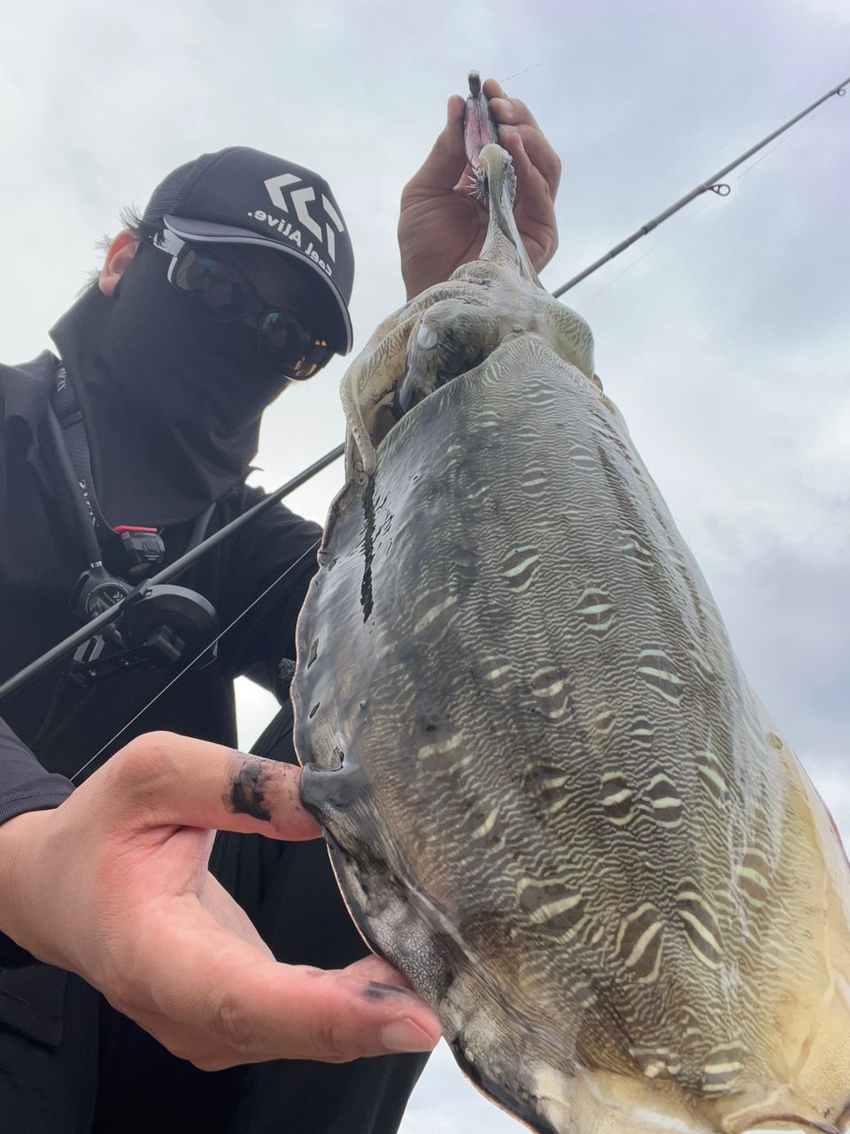 DAIWA 21エメラルダス ストイスト RT 88MLの最安値・インプレ・釣果