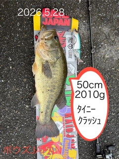 ブラックバスの釣果