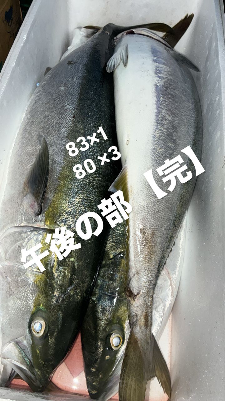 SHIMANO 19コルトスナイパー SS S100MHの最安値・インプレ・釣果