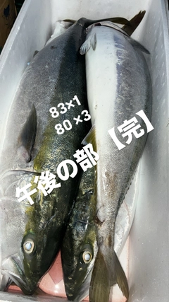 ブリの釣果