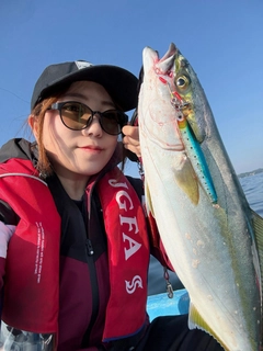 イナダの釣果