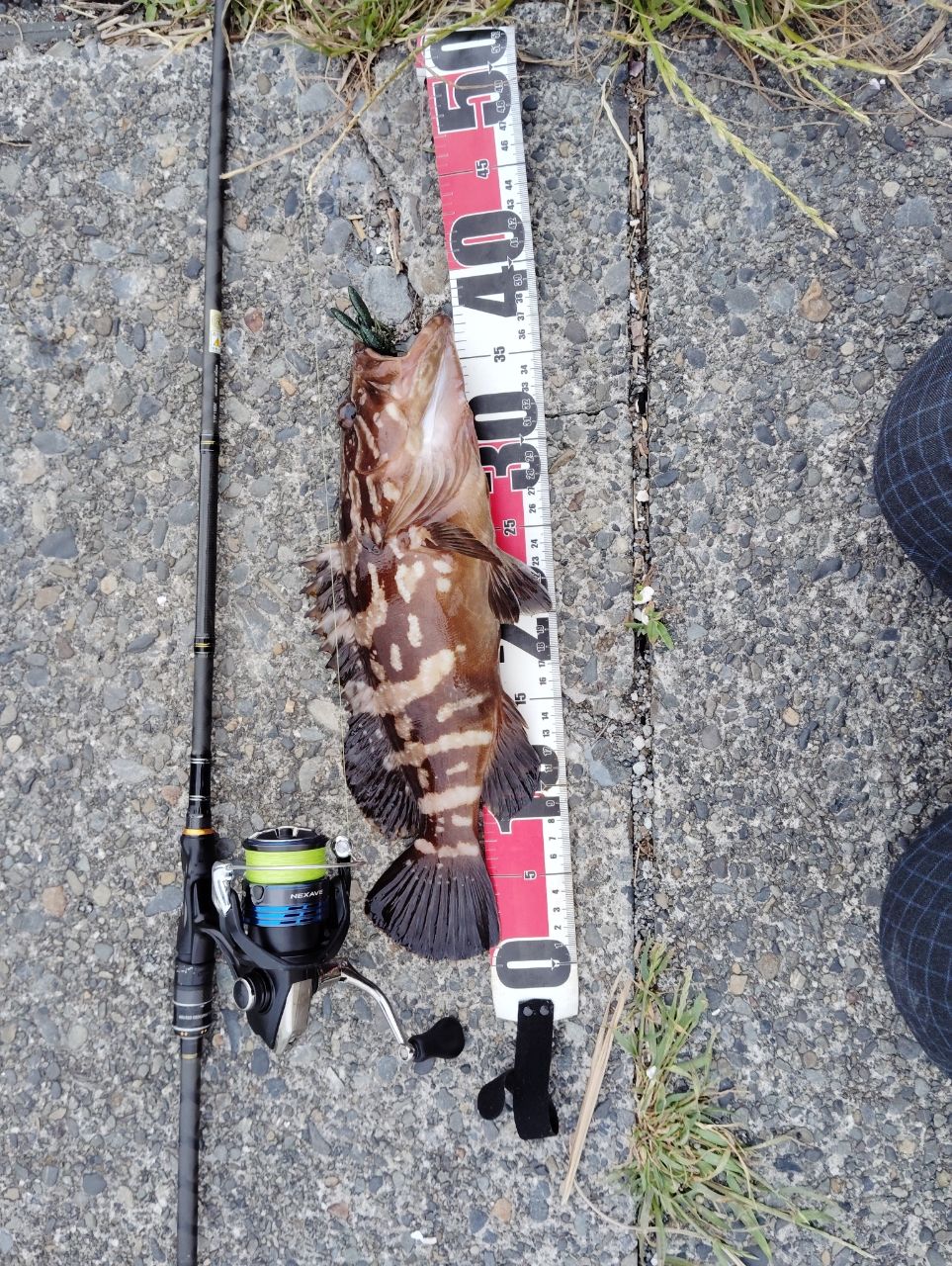 AbuGarcia ソルティスタイル マイクロショアジギング SMJS-962UL-KRの