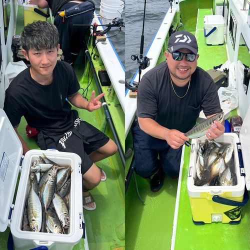 マアジの釣果