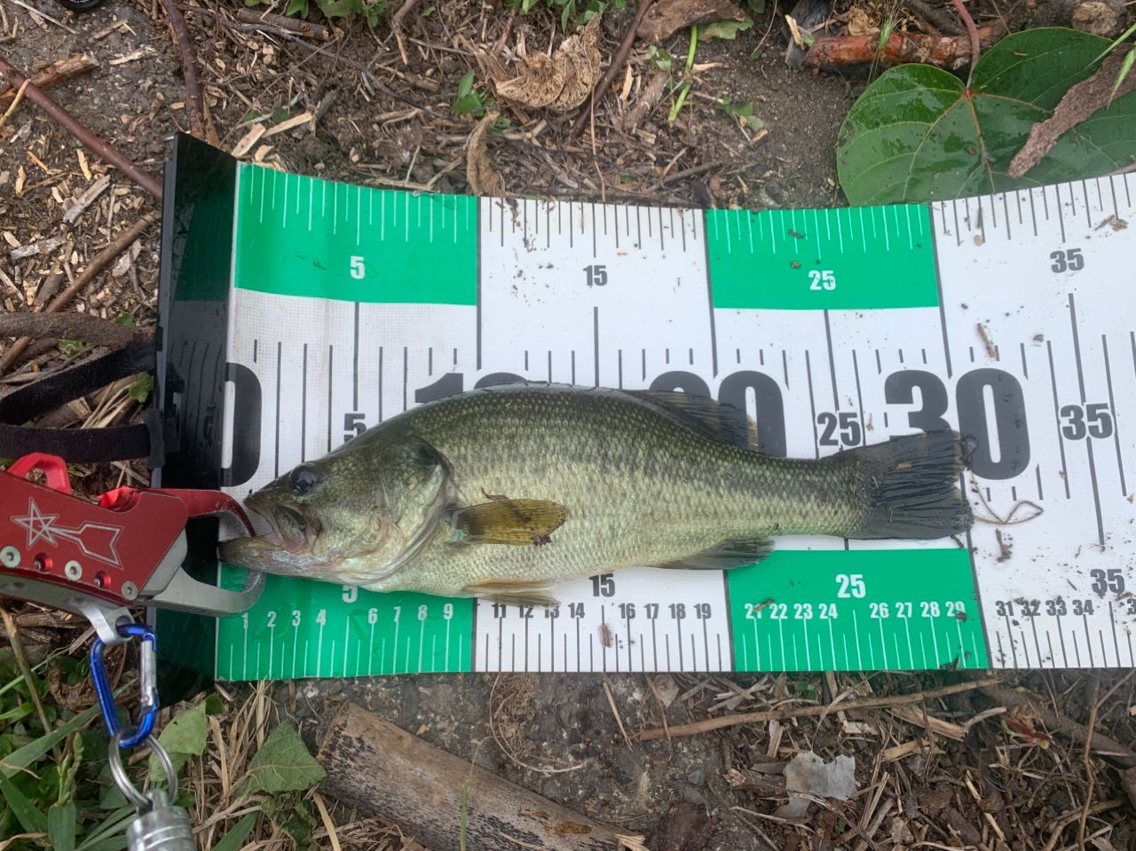 DAIWA 18ハートランド 671LFS-18の最安値・インプレ・釣果 | 本音の