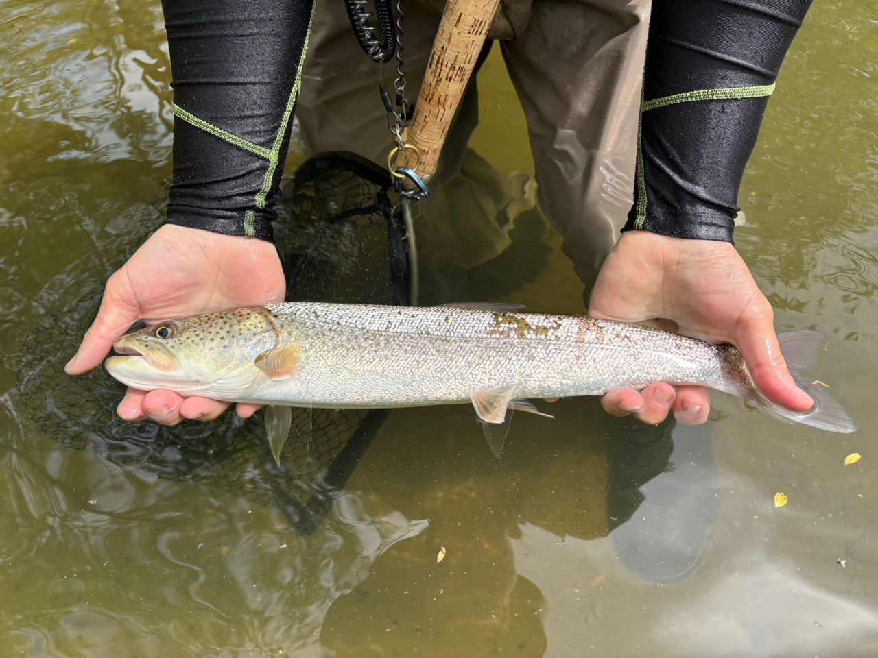 angler_seiyaさんの2026年05月27日(水)の釣行(北海道 - 北海道雨竜郡