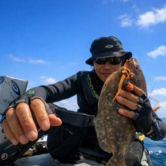 ヒラメの釣果