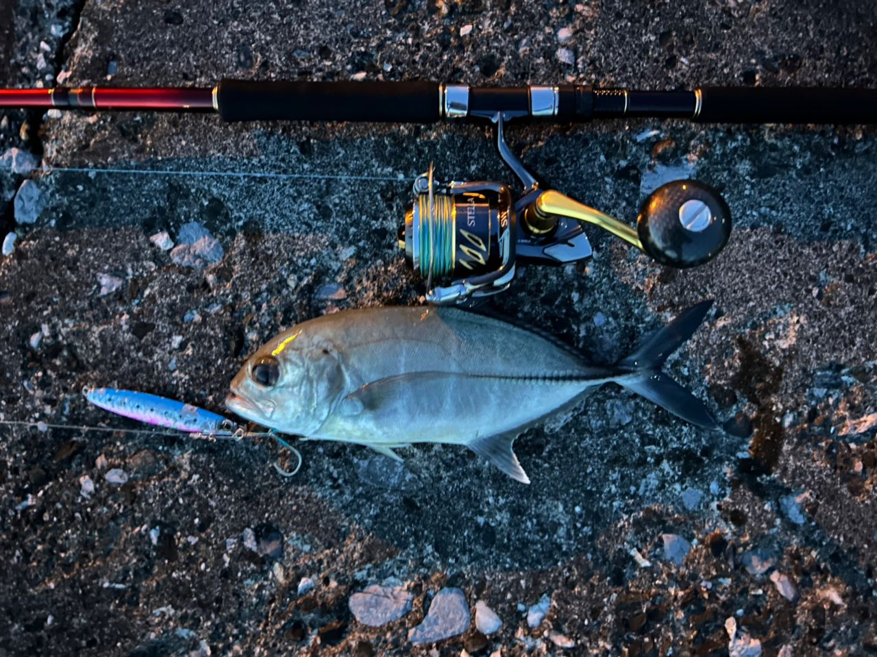 SHIMANO 20ワールドシャウラ BG 21055R-3の最安値・インプレ・釣果