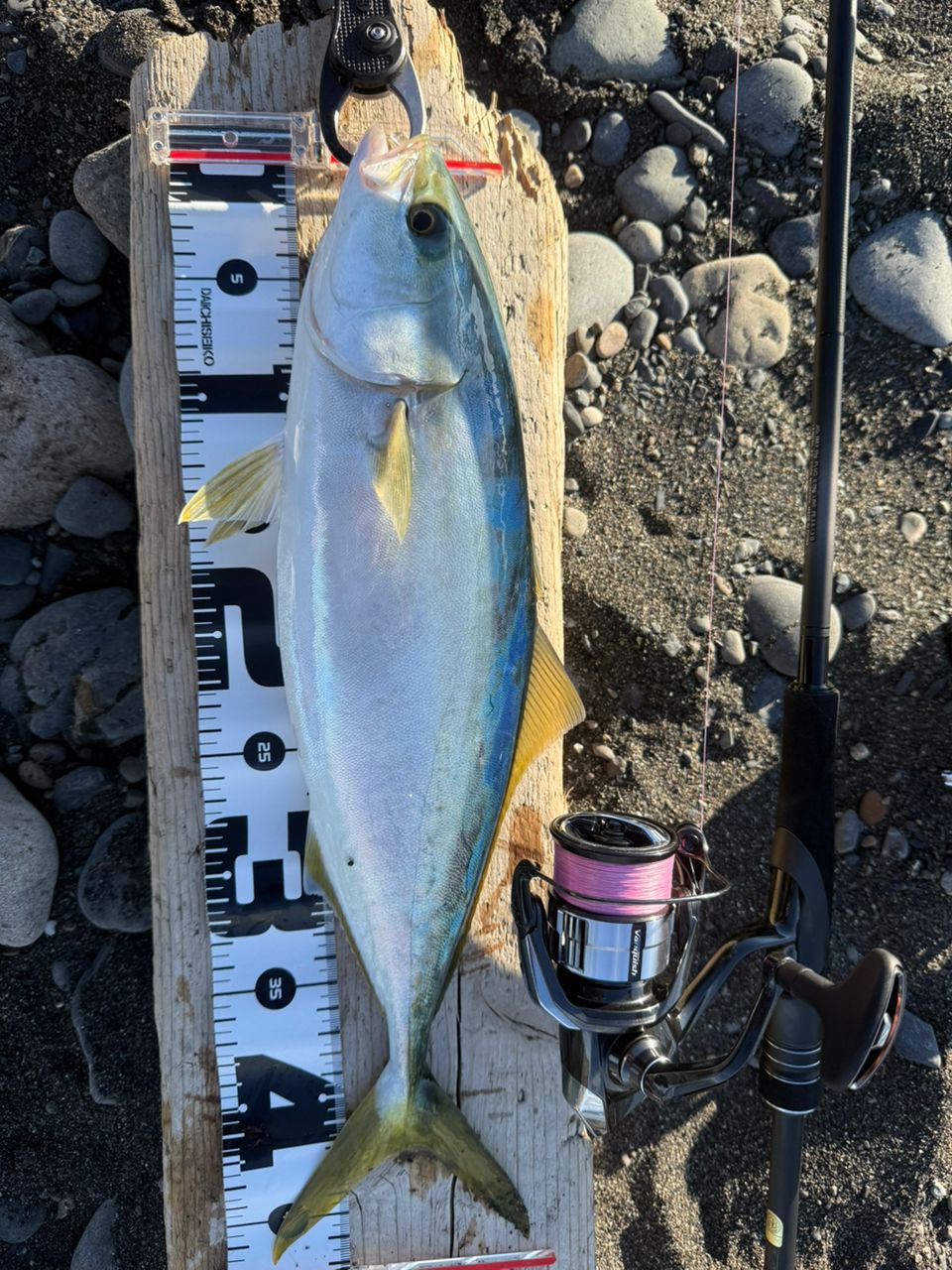 SHIMANO 23ディアルーナ S86MLの最安値・インプレ・釣果 | 本音の