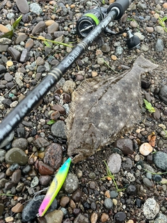 ソゲの釣果