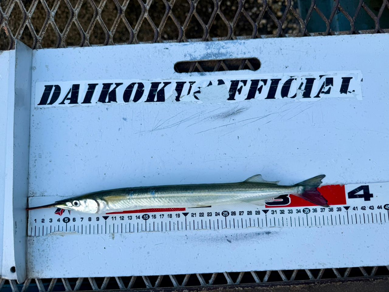 DAIWA 23エメラルダス MX 84ML-5・Nの最安値・インプレ・釣果 | 本音の
