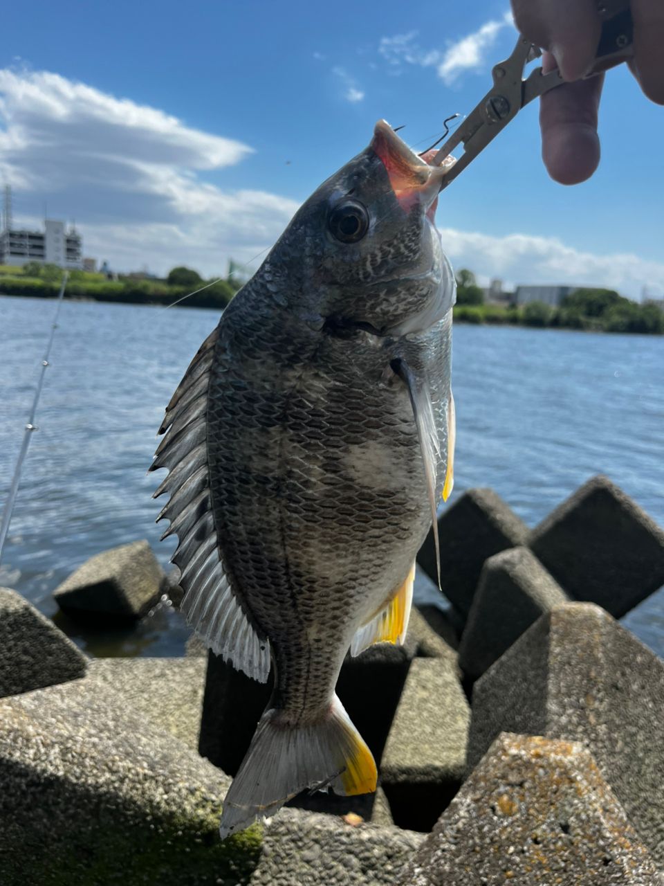 アングラー44966409 さんの 2026年05月29日のブラックバスの釣り・釣果