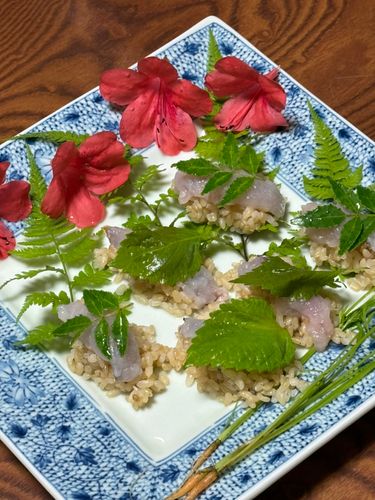 アカササノハベラの釣果