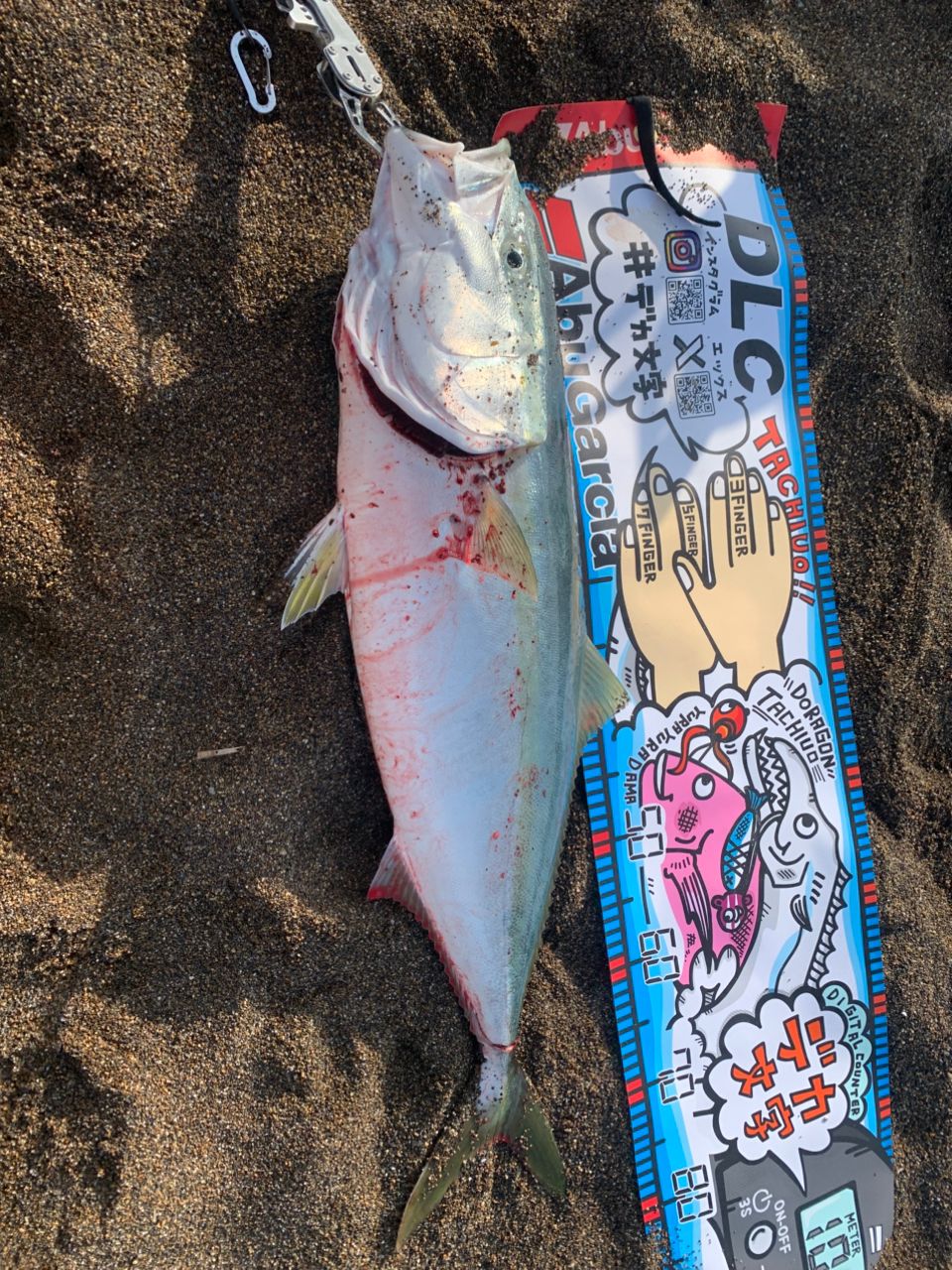アングラー90425235 さんの 2026年05月26日のブリの釣り・釣果情報