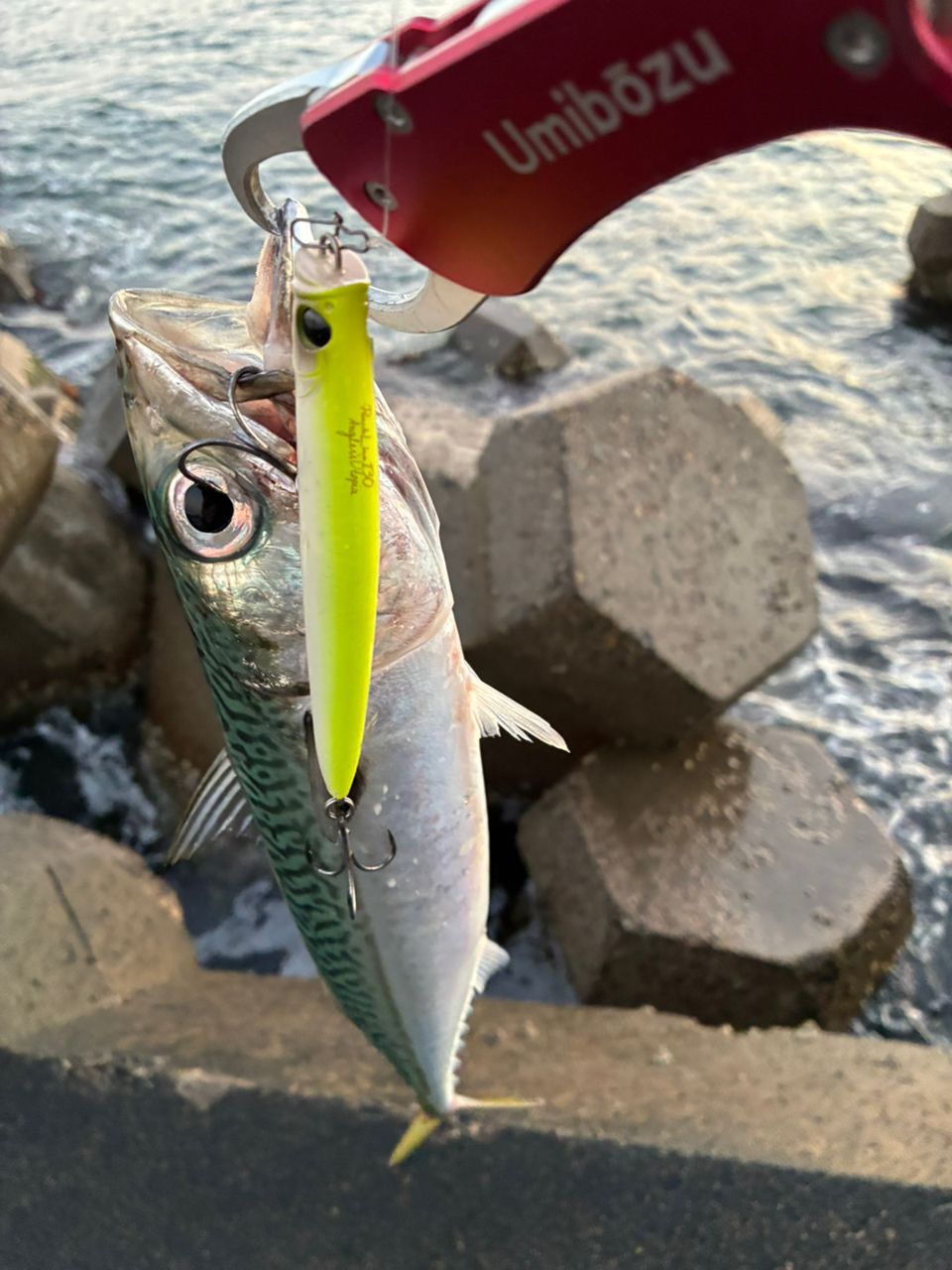 SHIMANO 21コルトスナイパーBB S100M-3の最安値・インプレ・釣果