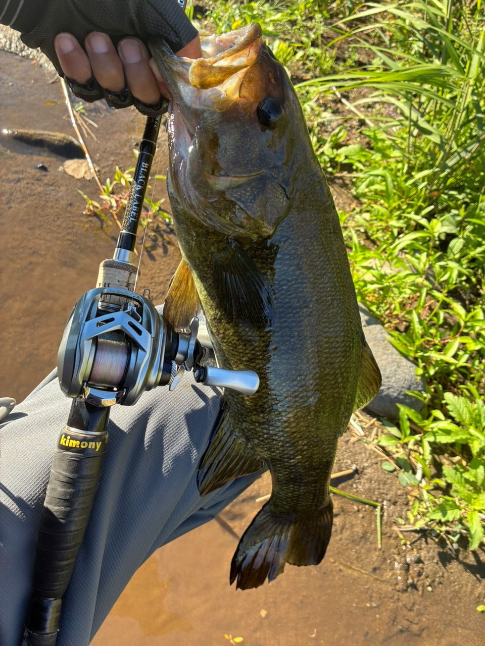 DAIWA 20アルファス SV TW 800Hの最安値・インプレ・釣果 | 本音の