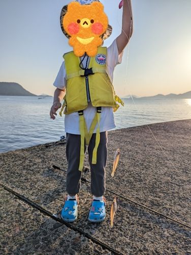 キスの釣果