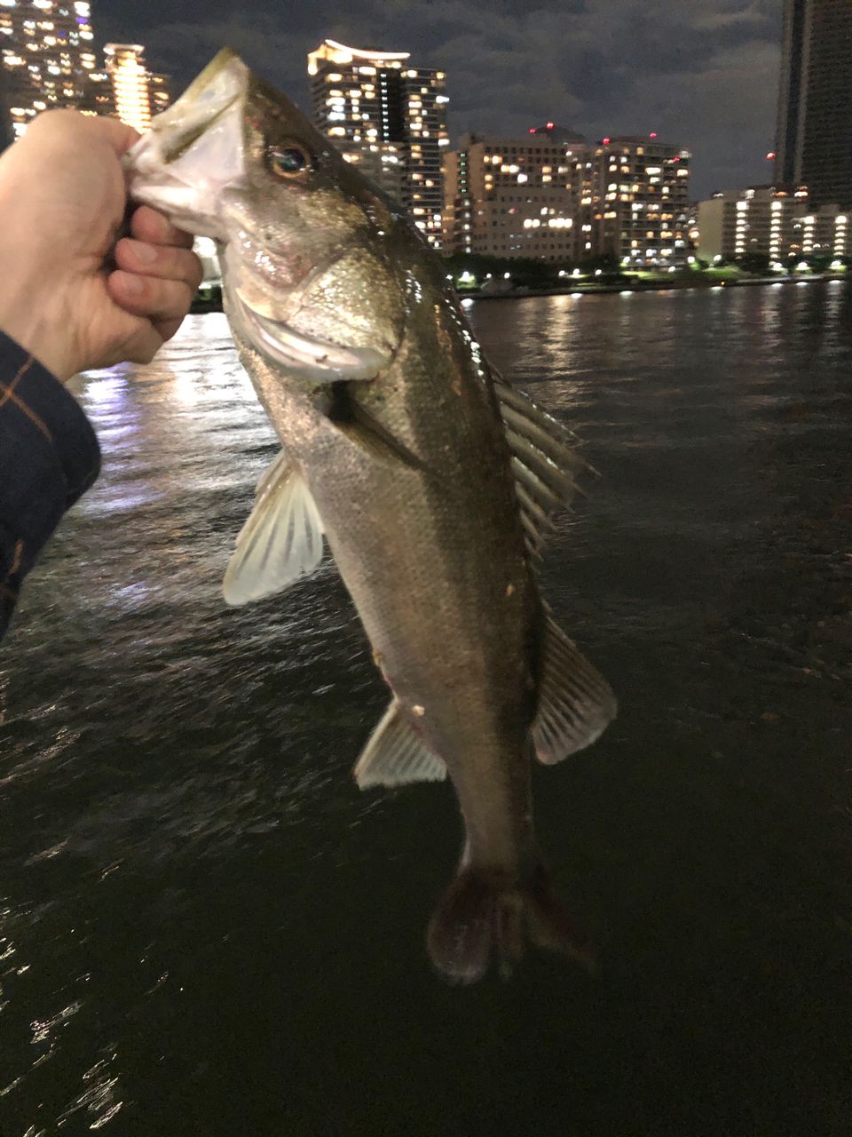 DAIWA 20ブレイゾン モバイル 6106TMHBの最安値・インプレ・釣果
