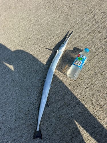 釣果