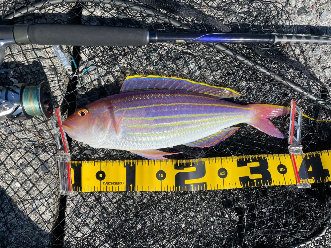 SHIMANO 22コルトスナイパーSS LSJ S100MLの最安値・インプレ・釣果
