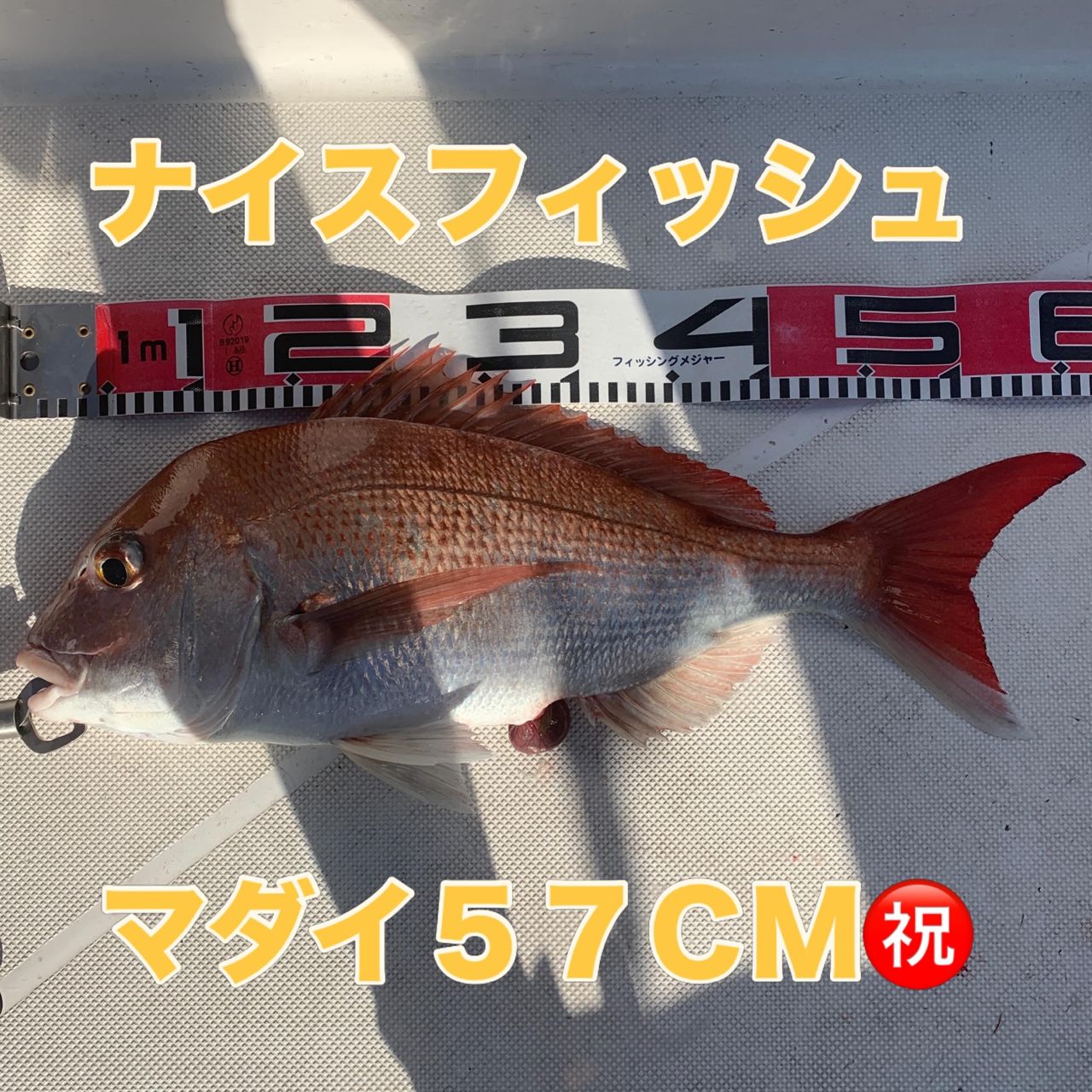 DAIWA 18紅牙 IC 100PL-RMの最安値・インプレ・釣果 | 本音の口コミが