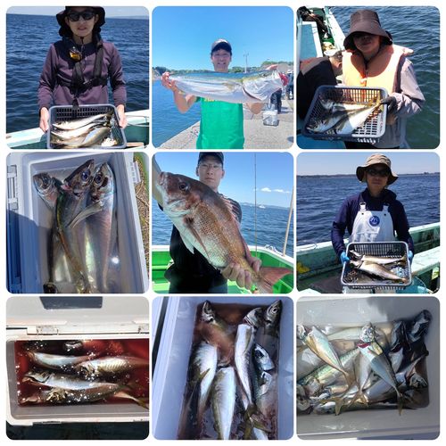 ワラサの釣果