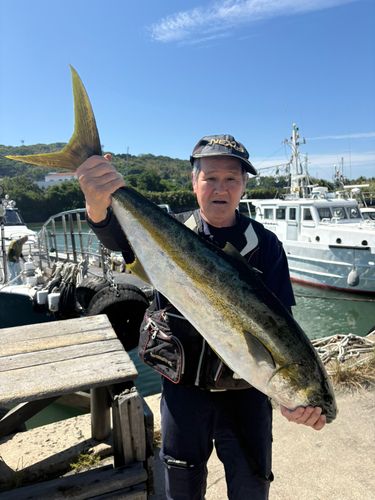 ヒラマサの釣果