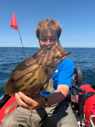 ホウキハタの釣果