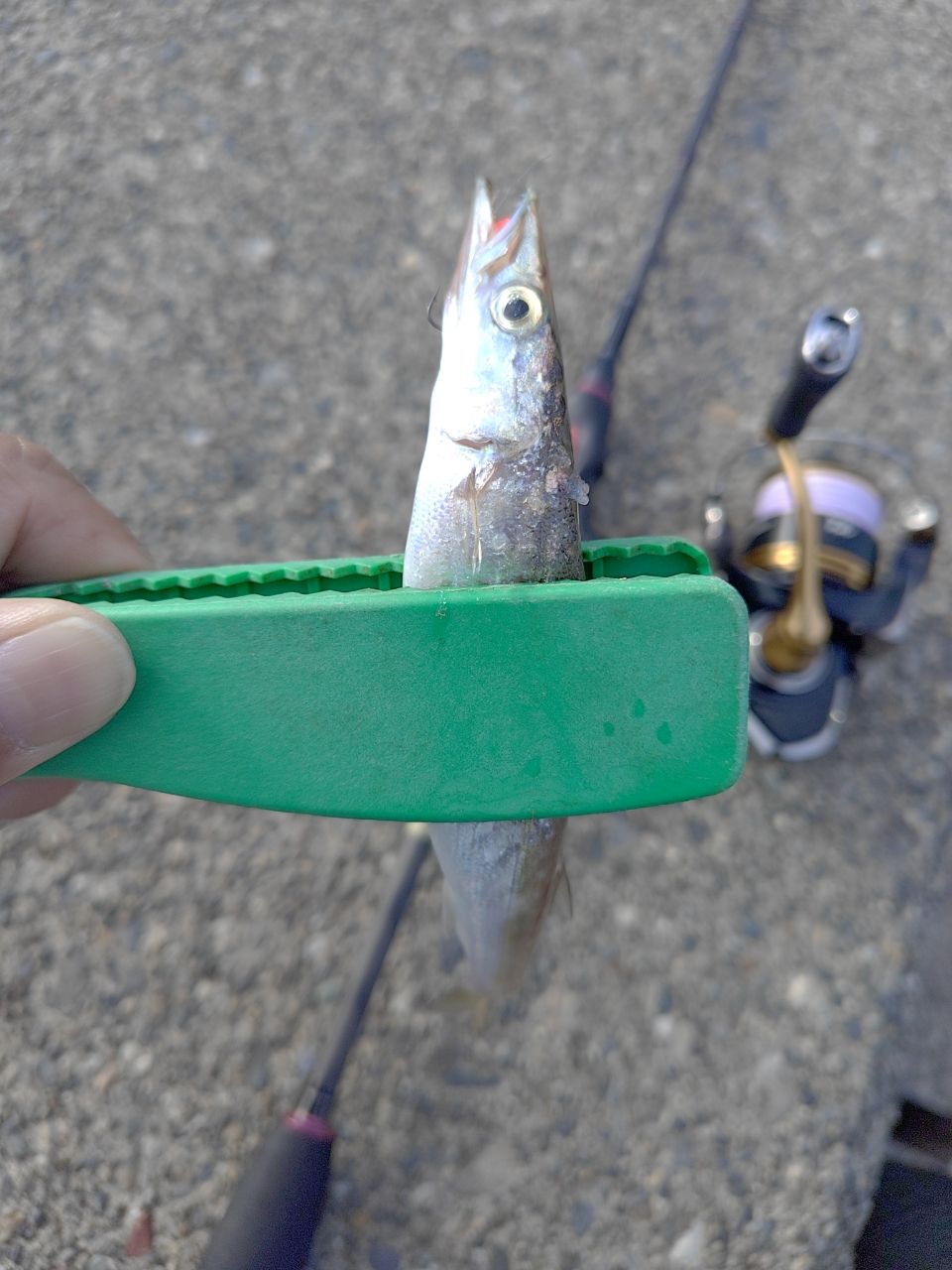 AbuGarcia ソルティースタイルアジング STAS-692LS-KRの最安値